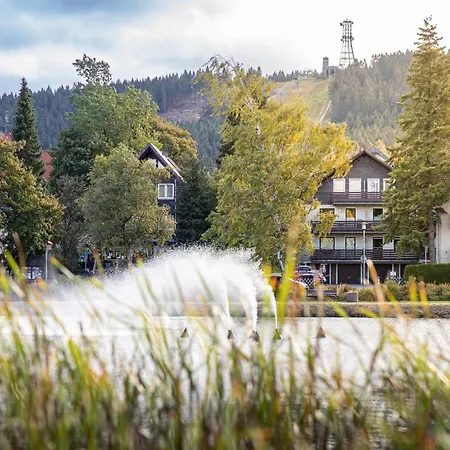 Apartment Hexenzauber Hahnenklee By Interhome *